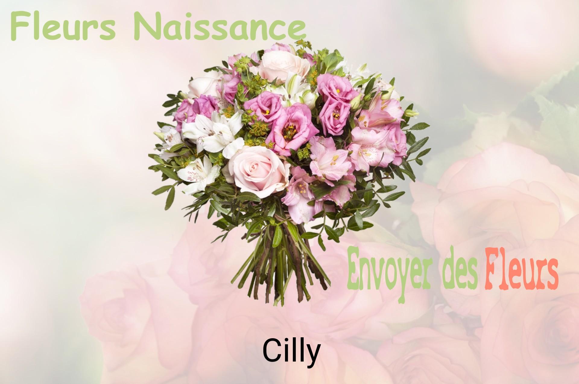 Bouquet de fleurs de naissance livré à Cilly
